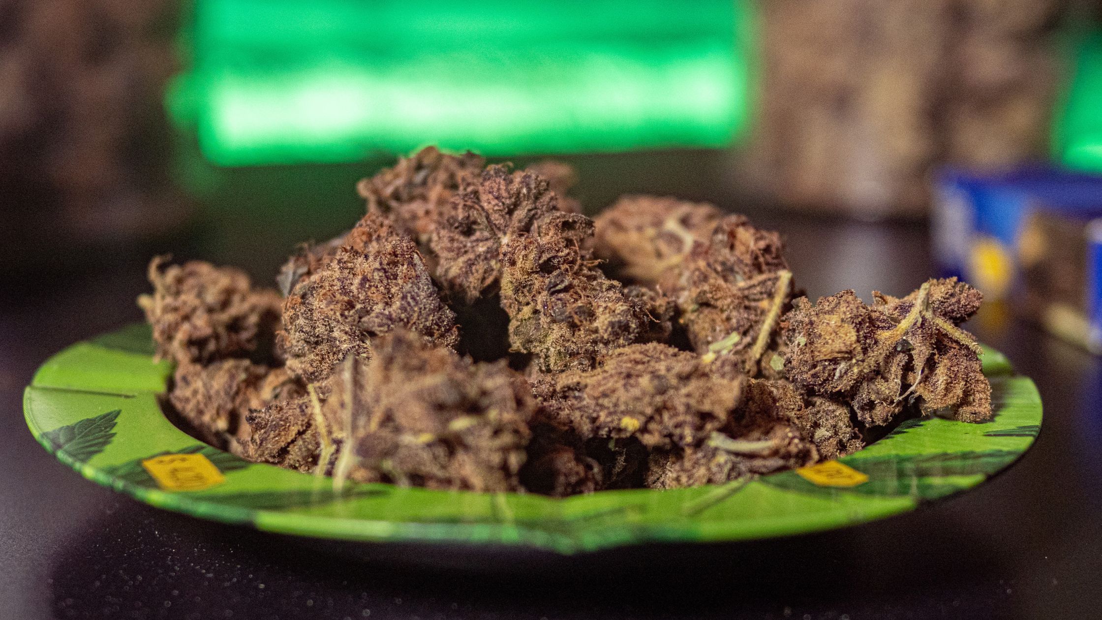 Tray of sativa premium marijuana at a weeds club in Plaza España Madrid