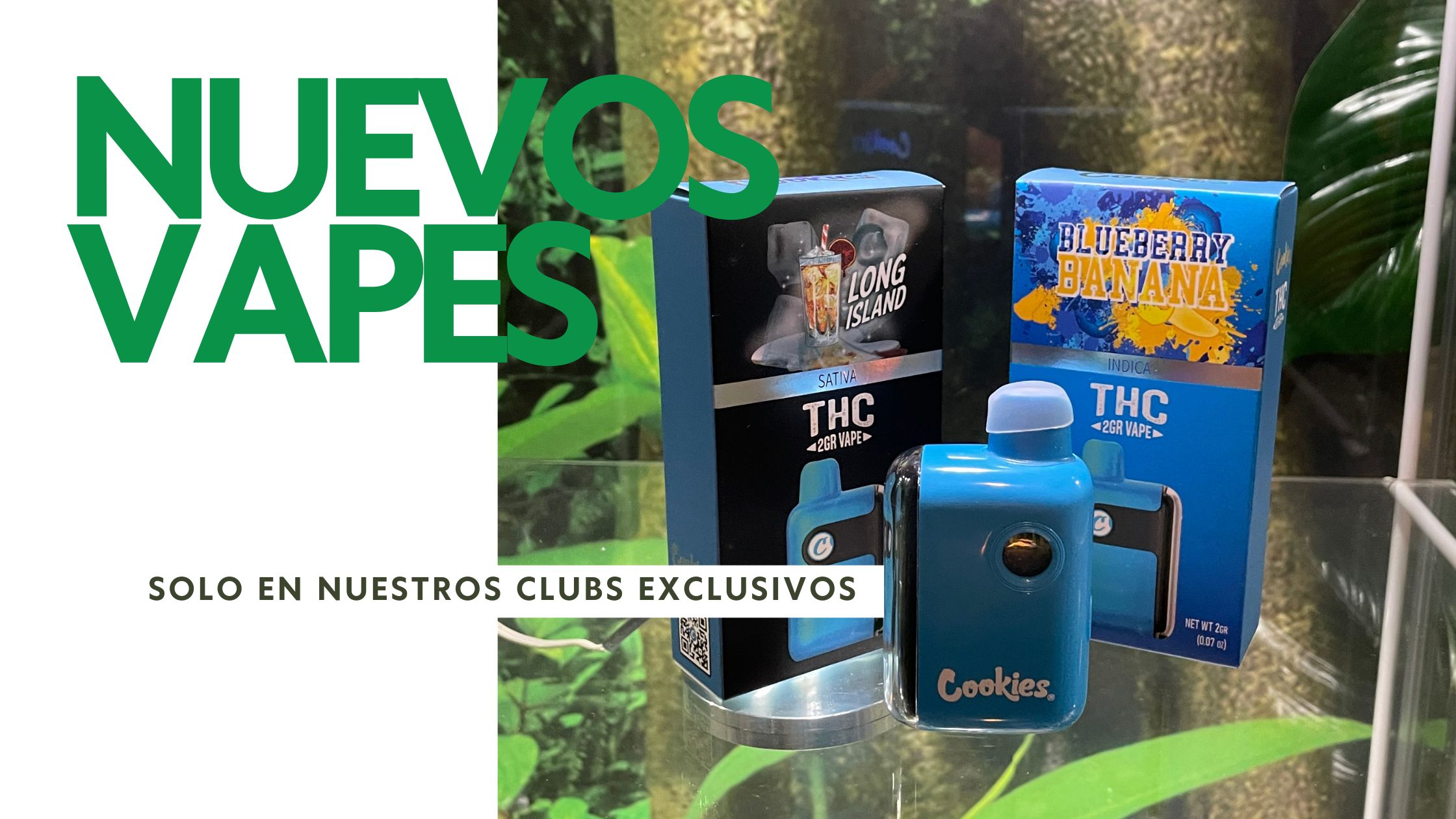 Smoking a fake cookies thc vape in Spain clubs