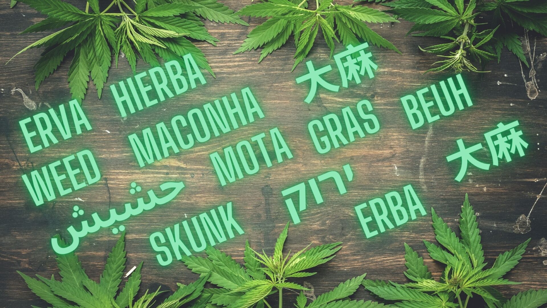 Weed in different slang terms