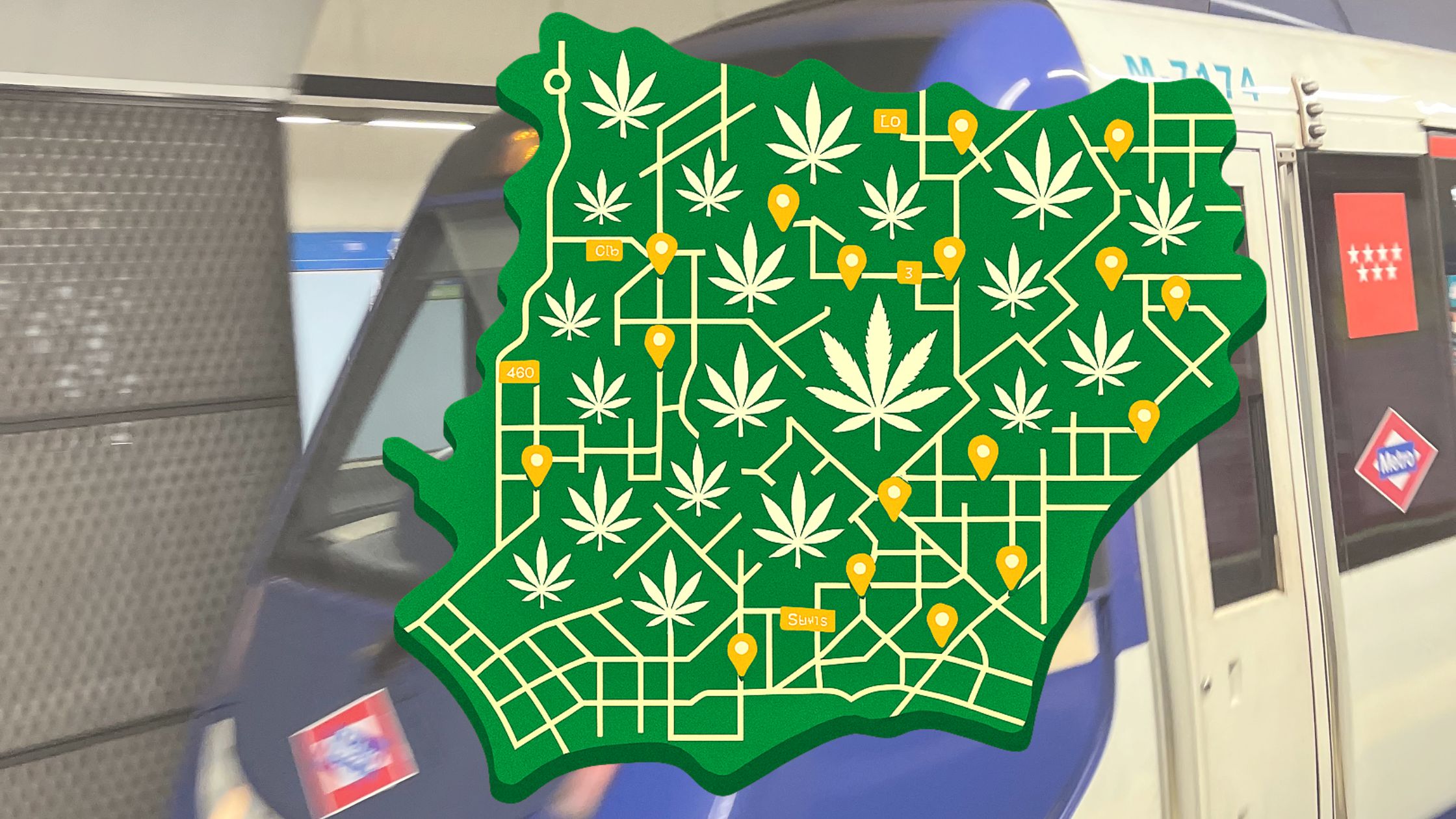 Hierba en club cannabico Madrid