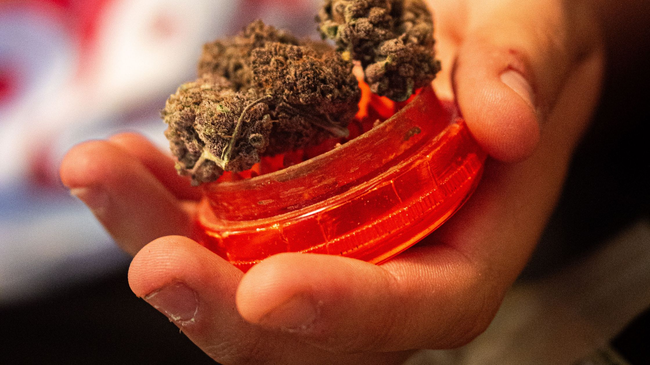 grinder at weed club in Madrid