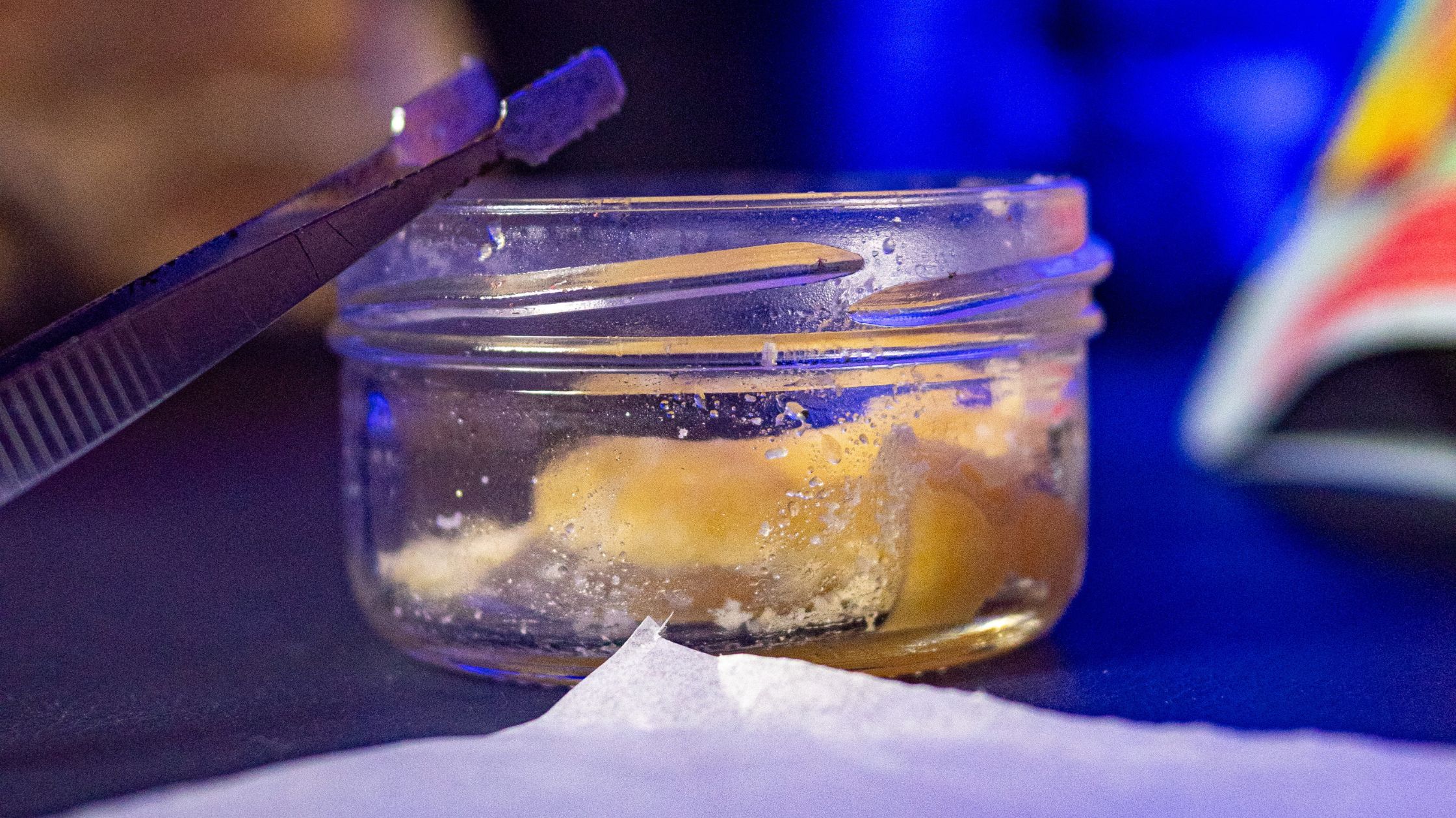 Concentrados de cannabis en Madrid: guía de extractos (rosin, shatter, live resin) y cómo probarlos en clubes