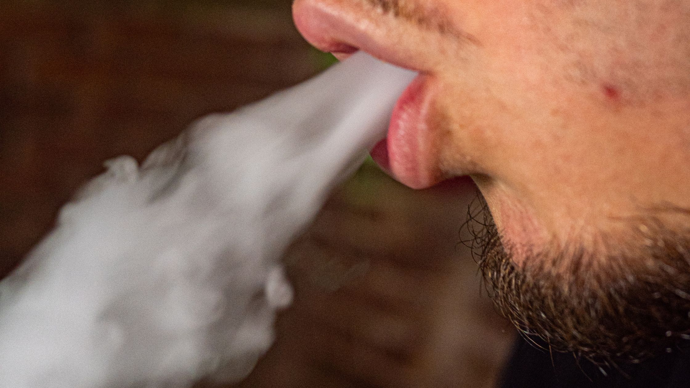 smoking at a social cannabis club near Noviciado metro in Madrid