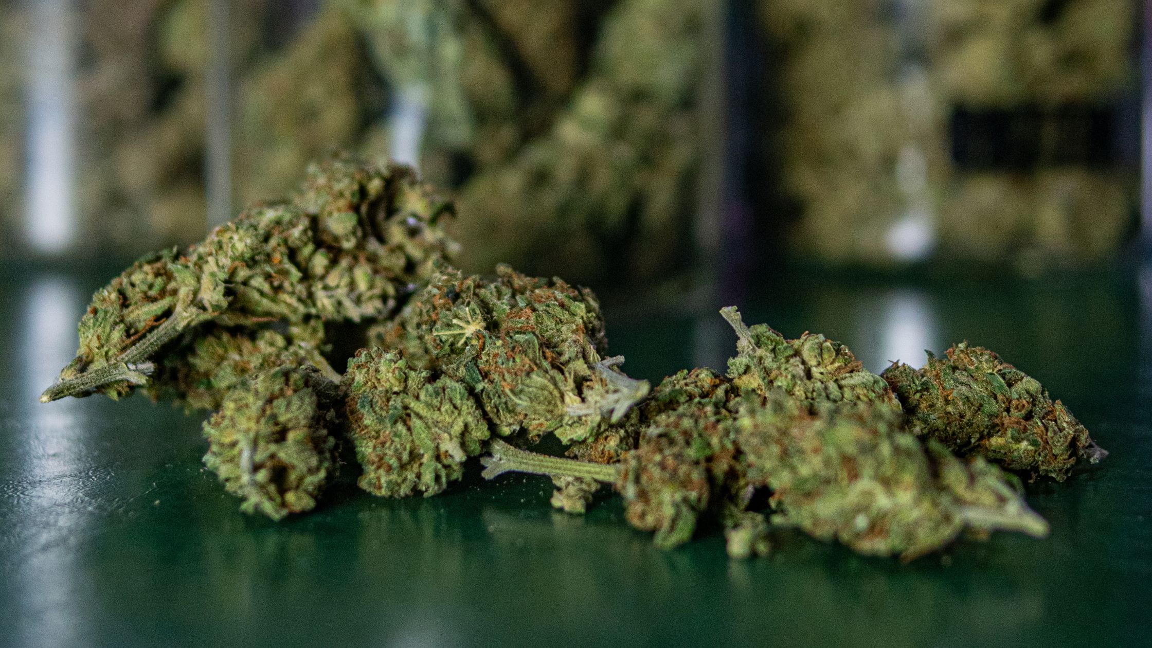 Pot club in Madrid dispensary
