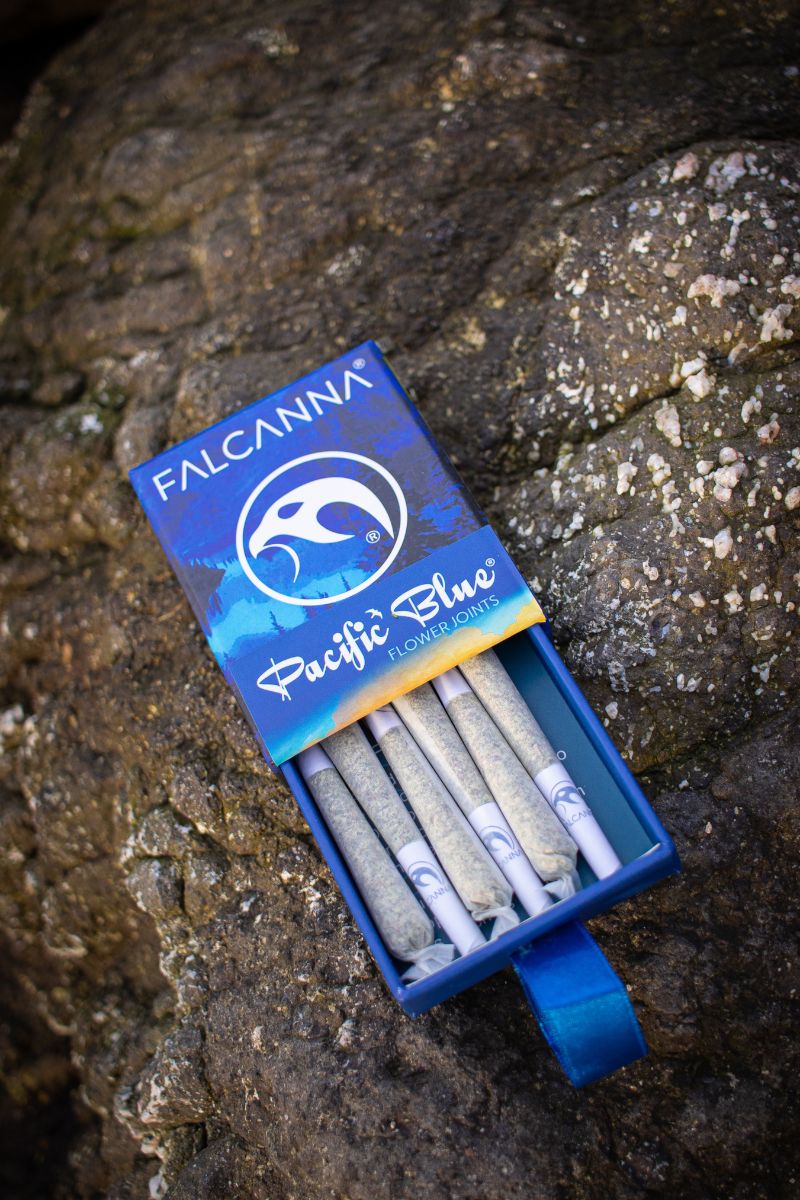 Pacific Blue pack in Madrid Falcanna Club
